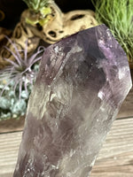 Amethyst Wand from Brazil