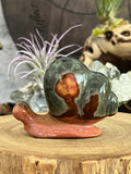 Polychrome Snails