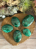 Malachite Palm stones